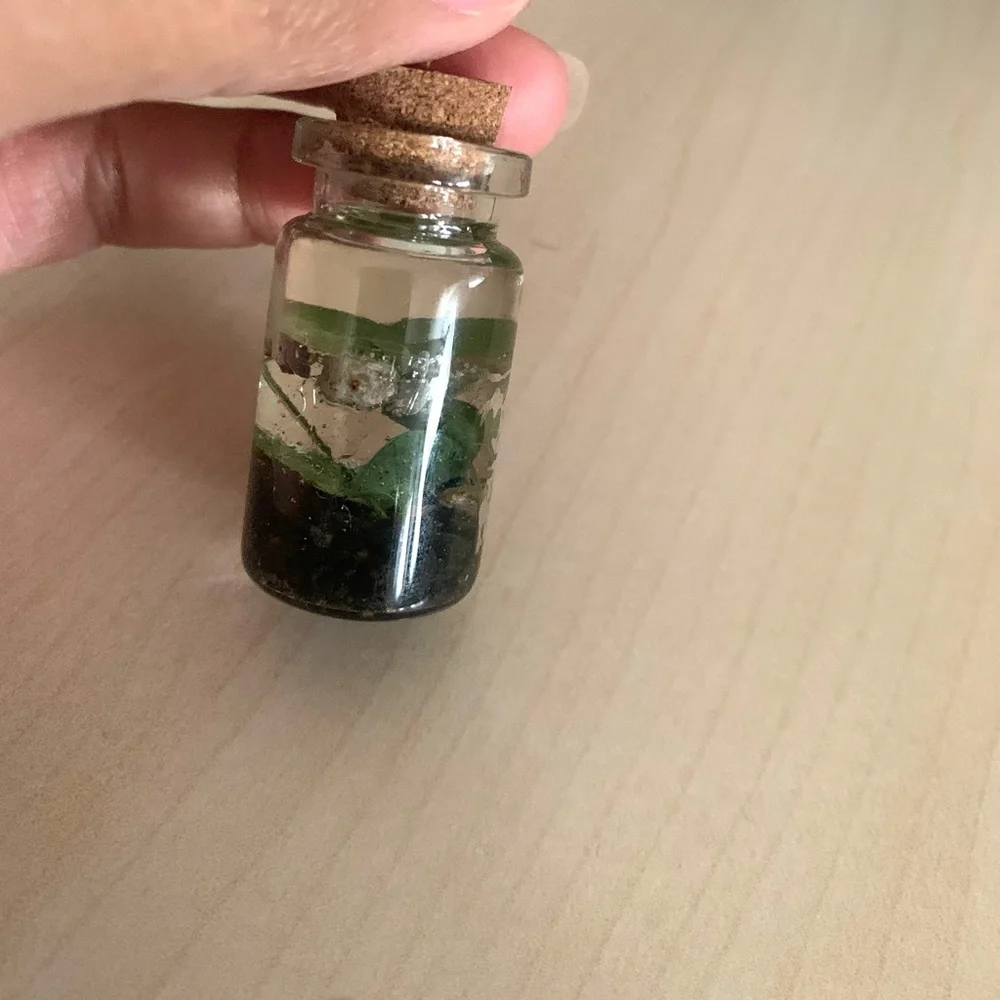 Mini plants-Keychain - Picture 1 of 4
